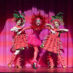 Tour Priscilla Review