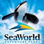 SeaWorld Orlando Review 2014