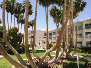 Beach Cafe At Tropicana Las Vegas (4)