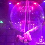 Vegas Nocturne At Rose. Rabbit. Lie In The Cosmopolitan Of Las Vegas Review 2014 (6)