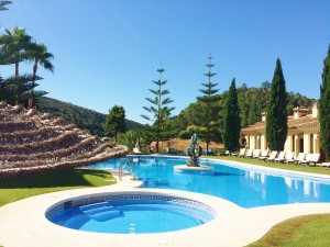 Benahovis Hotel Pool