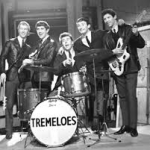 Dave Munden The Tremeloes Exclusive Life Story Interview 2014