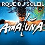 Tour Dates Amaluna