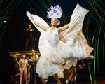 Cirque Amaluna Ticket price review