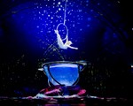 Cirque Du Soleil Amaluna Review 2015 Tour Dates