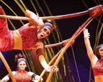 Cirque Du Soleil Amaluna Show Review 2015 Dates