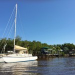 Everglades Florida Air Boat Review (16)