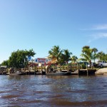 Everglades Florida Air Boat Review (7)