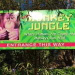 Monkey Jungle Miami Review 2015