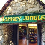 Monkey Jungle Miami Review (3)