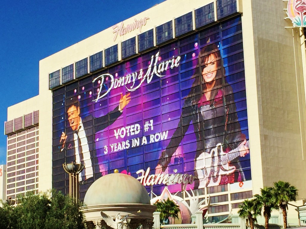 Flamingo Las Vegas Donny & Marie Review