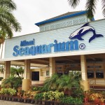 Review Miami Seaquarium