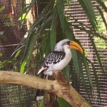 Review Miami Zoo 