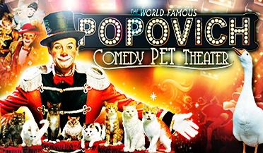 Enjoy Celebrity Radio’s Review Popovich Pet Theater Las Vegas… This has to be the cutest show in Las Vegas. Popovich’ Pet Theater is 60 minutes […]