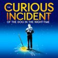 Review UK Tour The Curious Incident Of The Dog…. The Curious Incident of the Dog in the Night Time is one of the most original, […]